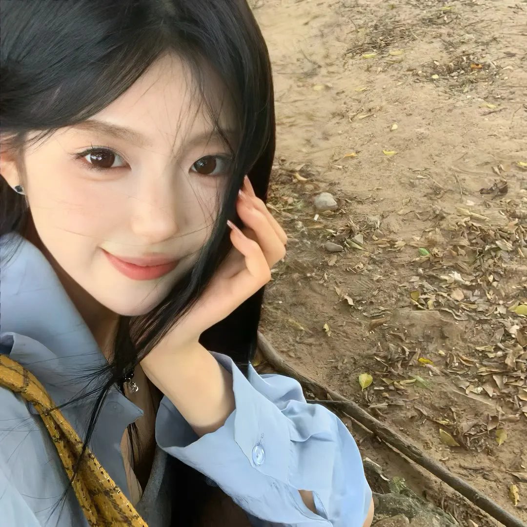 狮子王们的夏天