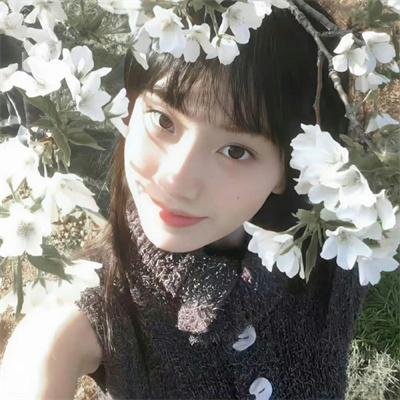 安邦定国志
